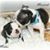Darleen Winston's profile image