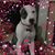 Kim Keltner's profile image