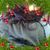 Dolores Martinez's profile image