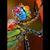 Donna M Sarvay-Stone's profile image