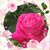 Maria Carranza's profile image
