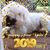 Varina McCorkle Riffe's profile image