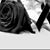 Mgmz Rodriguez's profile image