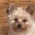 Gloria M Rodriguez's profile image