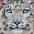 Travis Hansen's profile image