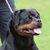 Thomas-Gidget Hudson's profile image