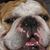 Marsha Pullen Hennessey's profile image