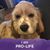 Lahoma Banks's profile image
