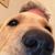 Cliff Parker's profile image