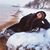 Jessica Rabit Baile's profile image
