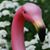 Ellen Schubert's profile image