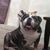 Willie Velasquez's profile image