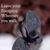 Elizabeth Vacca Faircloth's profile image