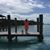 Susan Neligan's profile image