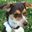Catherine Kost's profile image
