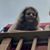 Deb Carson's profile image