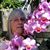 Kim Koehler Jarodsky's profile image