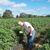 James Roberts's profile image