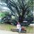 Liz Briones Jaimes's profile image