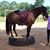 Linda Layman's profile image