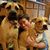 Shawna Delia Hoban's profile image