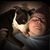 Bodhi Grayson Barth's profile image