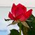 Patti Sullivan Schmidt's profile image