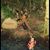Brenda Gallegos's profile image
