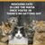 Karen Lee Kizer's profile image
