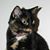 Ruth Bowen's profile image