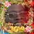 Peter Davis's profile image