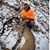 Jonathan Schmidt's profile image
