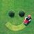 American Lawn and Landscape, Co.'s profile image