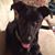 Jeffrey Malwitz's profile image