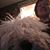 Janice Butler's profile image