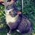 Kim Humphrey's profile image