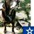 Judy Ipema's profile image