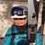 Bonnie Apol's profile image