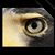 Kimberleigh Fielder's profile image