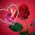 Jaquelin Victoriano's profile image