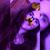 Casey Nicole's profile image