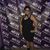 Hattie Batchelor's profile image