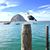 Doreen Hegy's profile image
