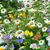 Vikki Chitwood's profile image