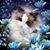 Debbie Trowbridge's profile image