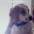 Joanne La Sasso's profile image