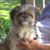 Judy Cayton's profile image