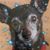 Michael Krier's profile image