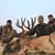 Ron Toste's profile image