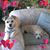 Kathy Wallace Helm's profile image
